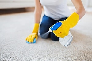 deep cleansing for pet stain removal